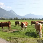 Schleicherhof Iv Prázdninový dům *