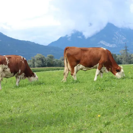 Schleicherhof Iv * 齐勒谷地施特拉斯